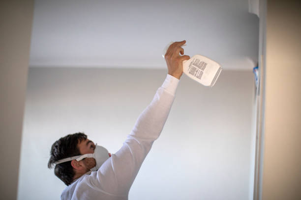 Best Mold Cleaning Services  in Cloverdale, IN