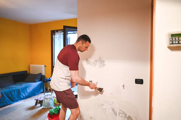 Best Mold Damage Repair  in Cloverdale, IN