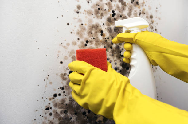 Water Damage Restoration in Cloverdale, IN